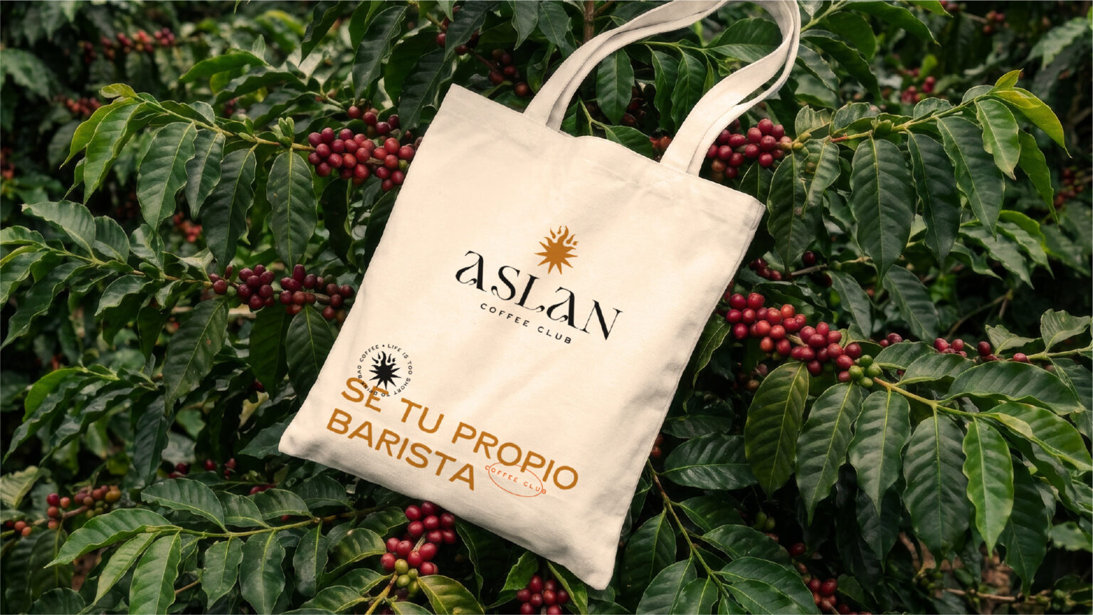 aslan coffee club (2)